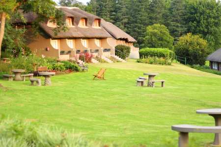 Nest Mountain Resort